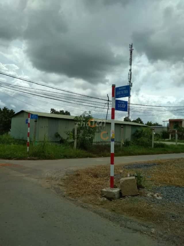 Plot of land 125 m² · đường 237